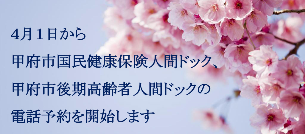 甲府市国民健康保険人間ドッグ